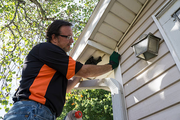 Best Storm Damage Siding Repair  in Chester, WV